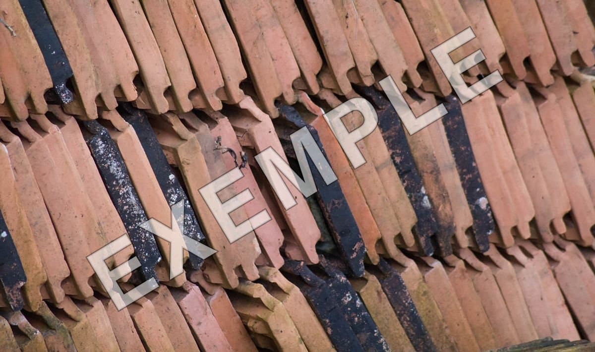Exemple - Tuiles plates en terre cuite, 800 pièces — photo 1